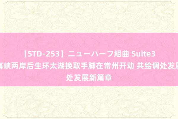 【STD-253】ニューハーフ組曲 Suite3 第五届海峡两岸后生环太湖换取手脚在常州开动 共绘调处发展新篇章