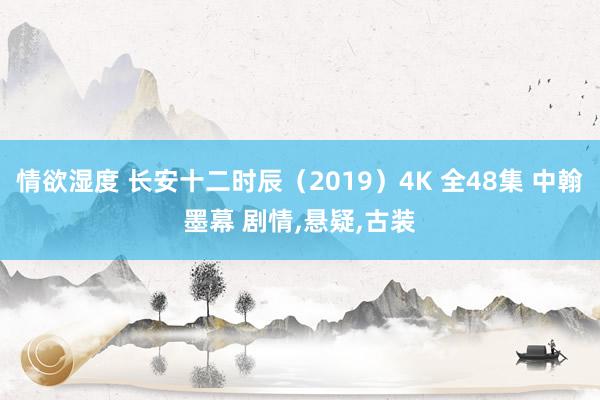 情欲湿度 长安十二时辰（2019）4K 全48集 中翰墨幕 剧情，悬疑，古装