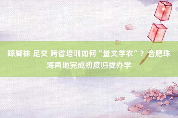 踩脚袜 足交 跨省培训如何“量文学衣”？合肥珠海两地完成初度归拢办学