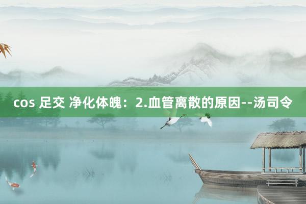 cos 足交 净化体魄：2.血管离散的原因--汤司令