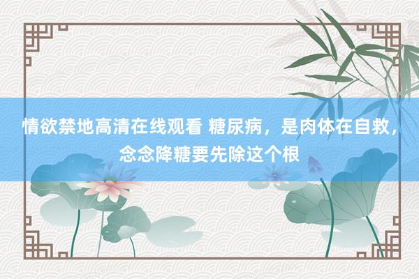 情欲禁地高清在线观看 糖尿病，是肉体在自救，念念降糖要先除这个根