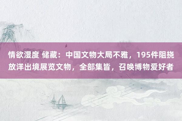 情欲湿度 储藏：中国文物大局不雅，195件阻挠放洋出境展览文物，全部集皆，召唤博物爱好者